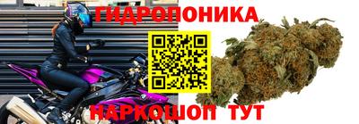 спайс Жуковский