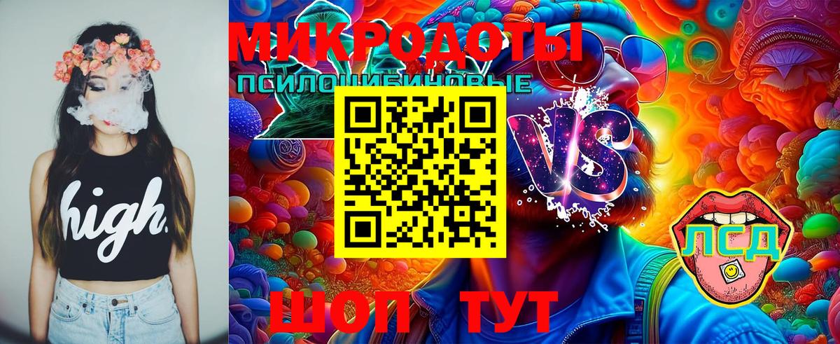 Псилоцибиновые грибы мицелий  Вход с VPN  Лениногорск  Галлюциногенные грибы Psilocybe 